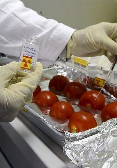 Alimentos irradiados: