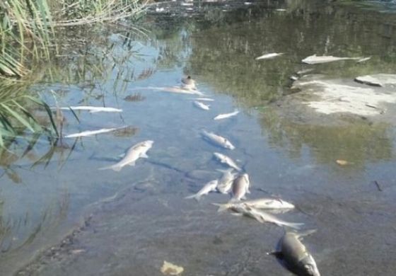 El río de los venenos