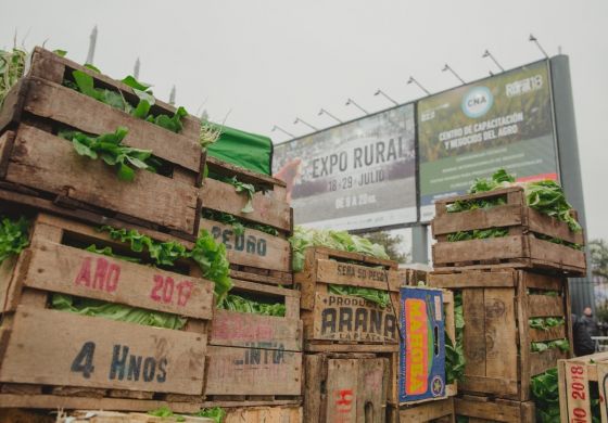 ¿Por qué en Argentina sufrimos inseguridad alimentaria?