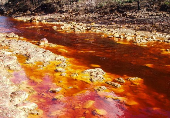 La Asamblea que lucha por un agua sin veneno 