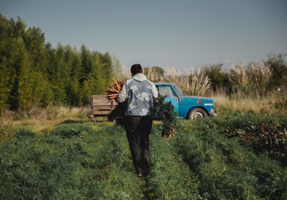 Tierras para una vida digna, producir sano y terminar con el hambre