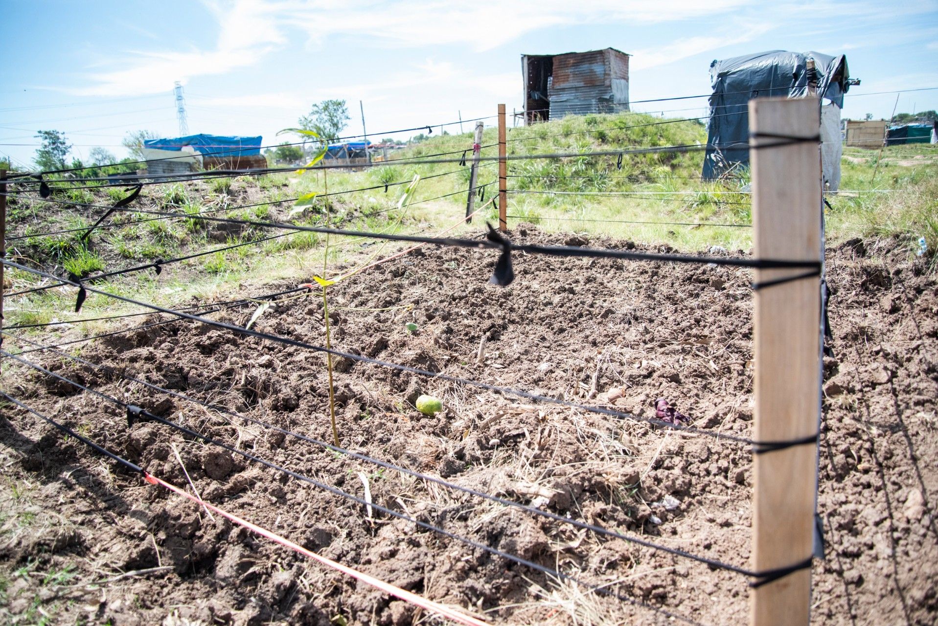 En la tierra está el futuro de las familias que apuestan por hacer huerta para disponer de su propio alimento. 