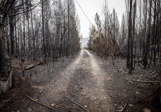 Los 10 extractivismos que dañan nuestra salud