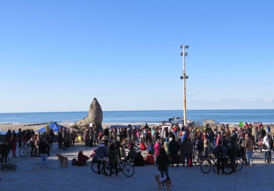 Mar del Plata, la (in)feliz ciudad petrolera