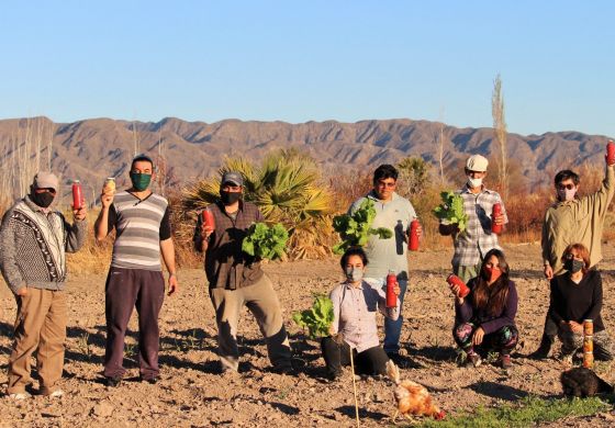 Una cooperativa que genera trabajo y tomates sanos en San Juan