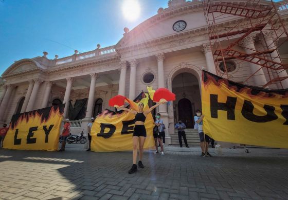 Corrientes: crónica de un ecocidio