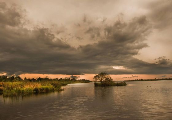 Ley de Humedales: proteger el ambiente cumpliendo con la Constitución