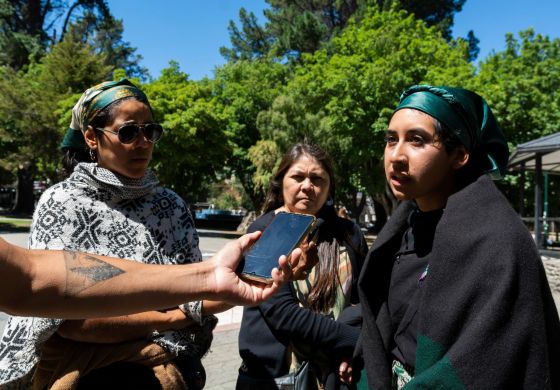 Un nuevo capítulo de la campaña antimapuche