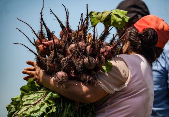 Por una democracia con soberanía alimentaria