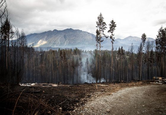 Argentina, un país prendido fuego