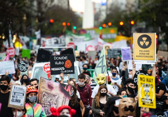 DNU y Ley Ómnibus: un atraso abismal en materia ambiental