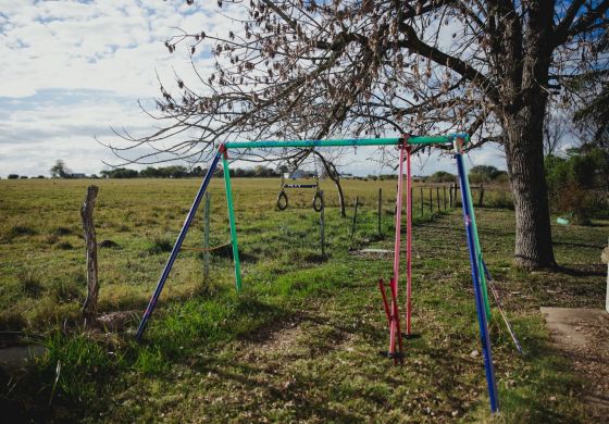 Escuela rural en Baradero: un fin de año esquivando venenos