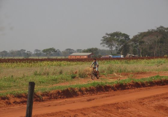 La multinacional Bayer y las violaciones de derechos humanos en Sudamérica