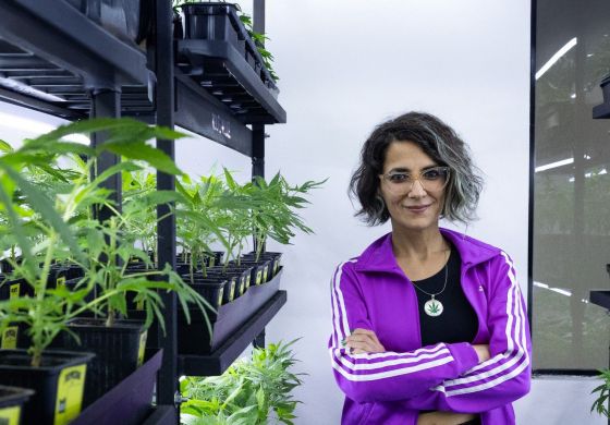 “Todos los usos de la planta de cannabis son terapéuticos”