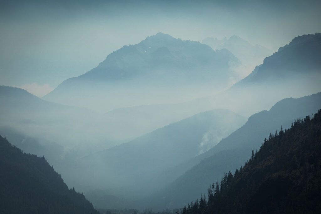 El bosque que nos queda. Foto: Jade Sivori