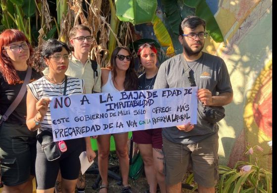 Bajar la edad de punibilidad no resuelve nada